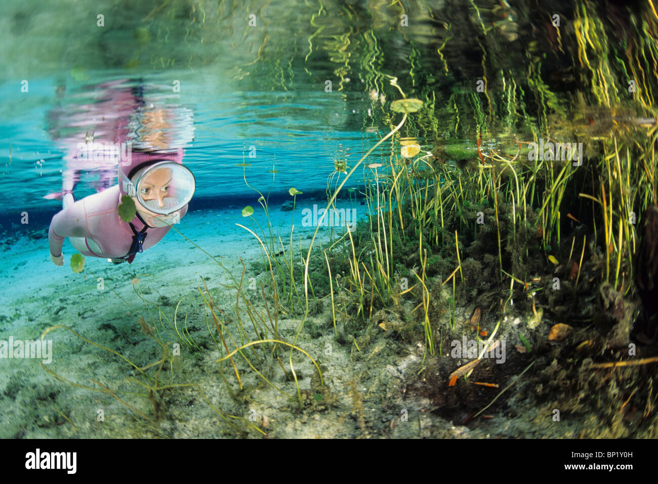 Schnorcheln am Rainbow River, Rainbow River, Florida, USA Stockfoto