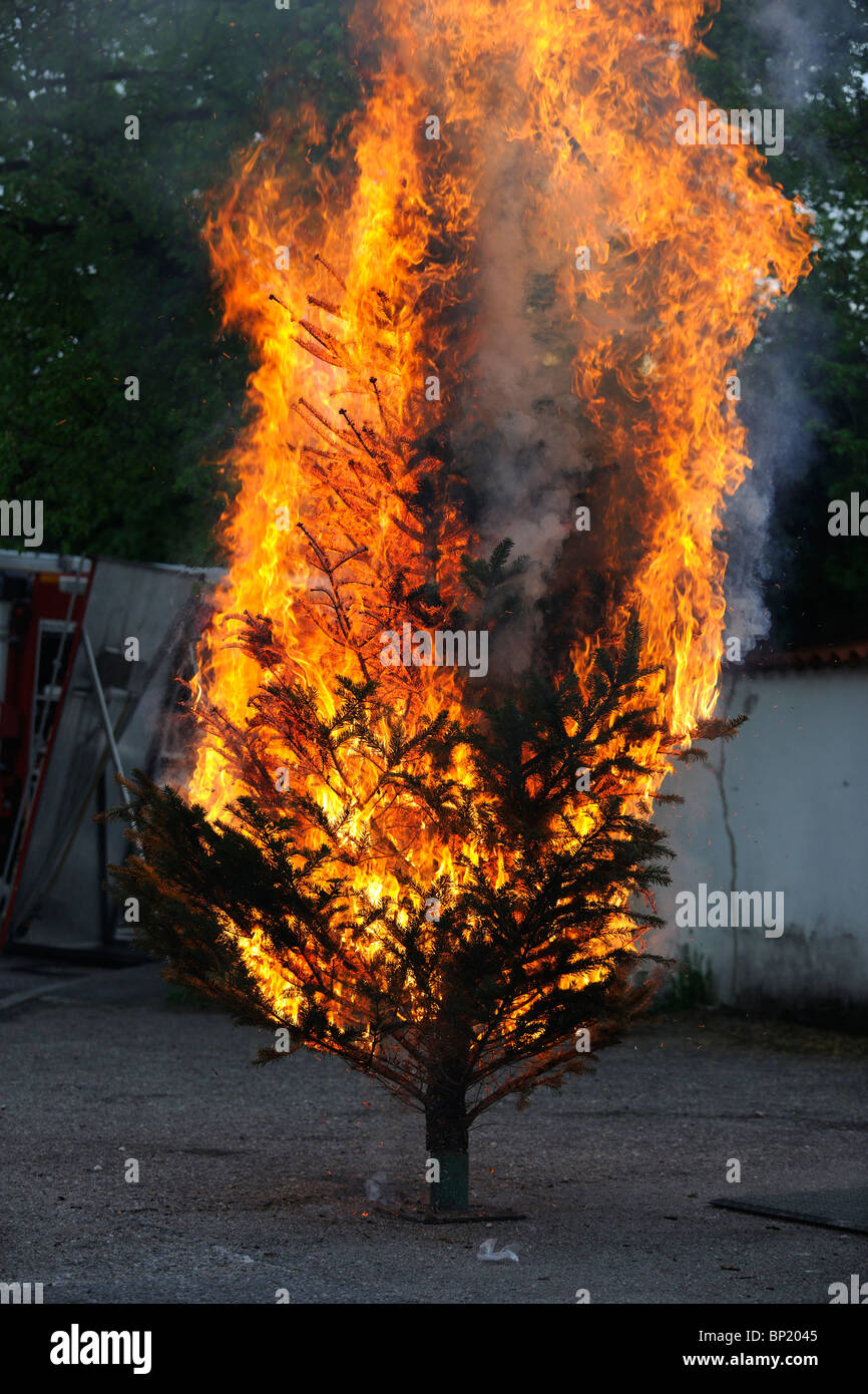 Brennenden Weihnachtsbaum Sequenz. Vom Anfang bis zum Ende. Stockfoto