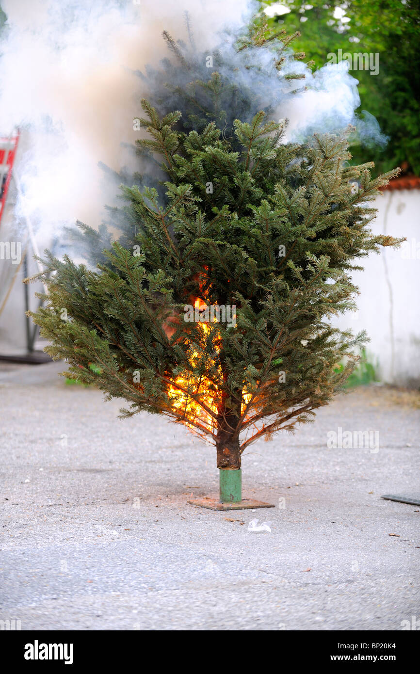 Brennenden Weihnachtsbaum Sequenz. Vom Anfang bis zum Ende. Stockfoto