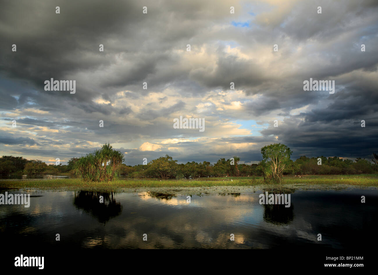 Yellow Water Billabong, Kakadu-Nationalpark, Northern Territory, Australien Stockfoto