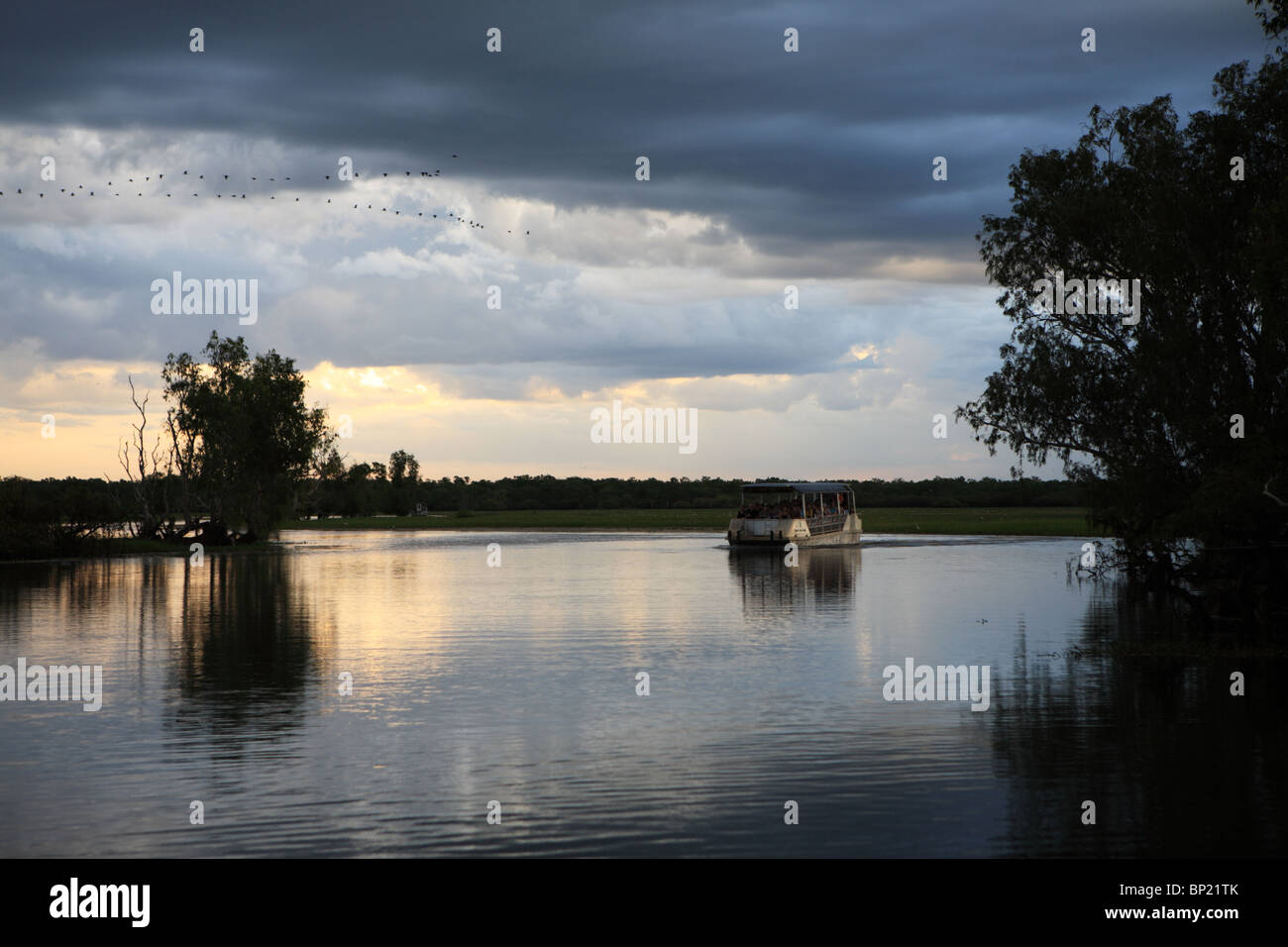 Yellow Water Billabong, Kakadu-Nationalpark, Northern Territory, Australien Stockfoto