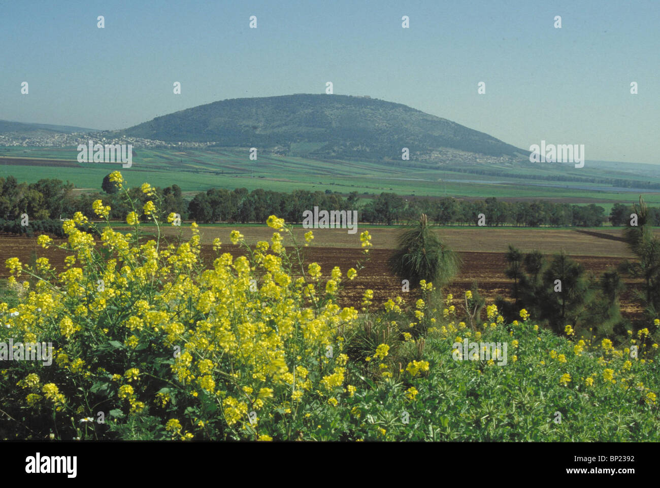 152. MT. TABOR - BERG IN DAS TAL JESREEL, ALLGEMEINE ANZEIGEN. JOSH 19:22, JDG 4:6, 12, 14 08:18, ICH SAM 10:3 PS 89:12 Stockfoto