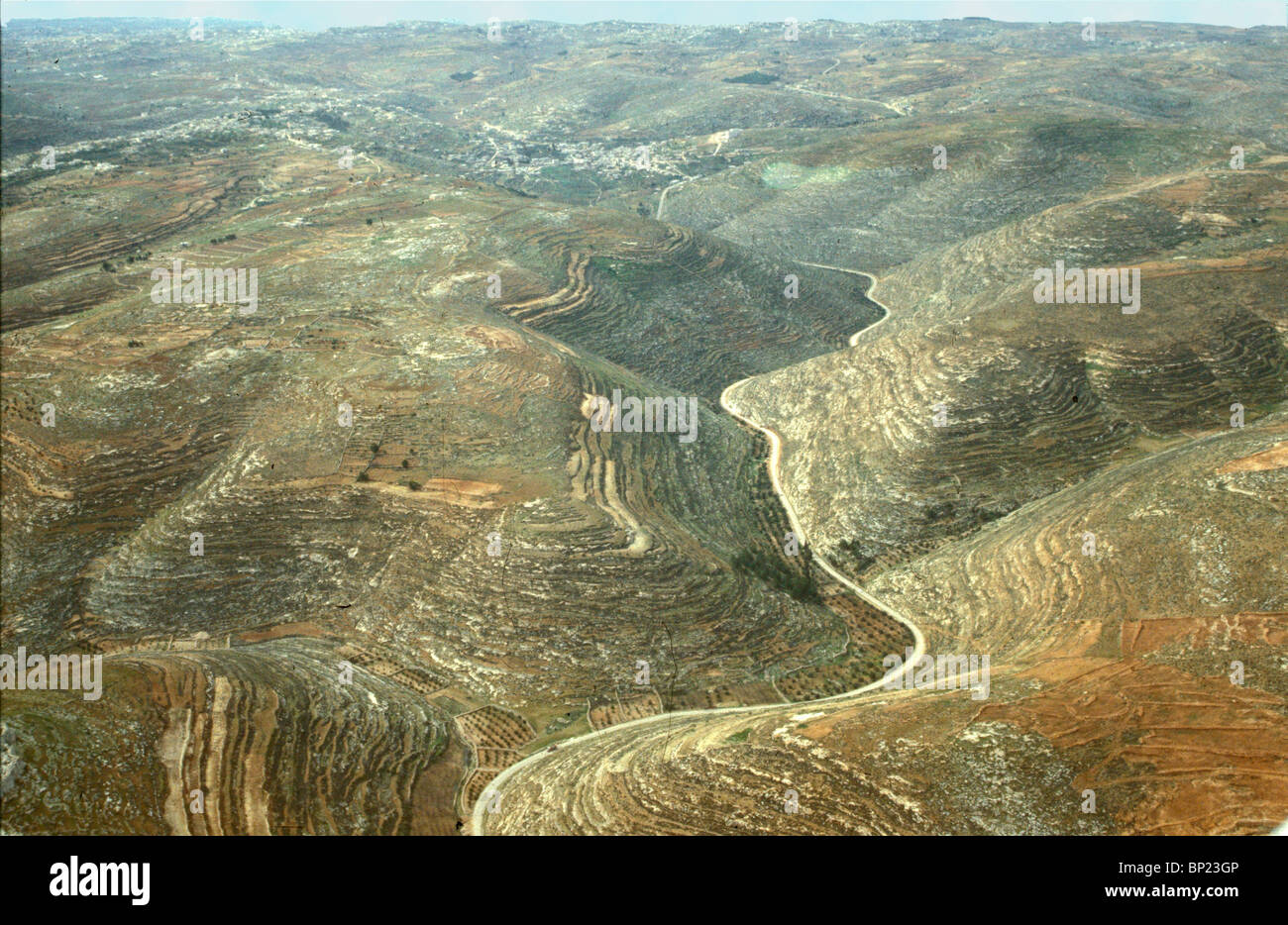 TEKOAH - DORF IN DEN HÜGELN VON JUDÄA SÜDLICH VON JERUSALEM. GEBURTSORT DES PROPHETEN AMOS. (AM. 1:1) BILD: ANSICHT DES TEL. & Stockfoto