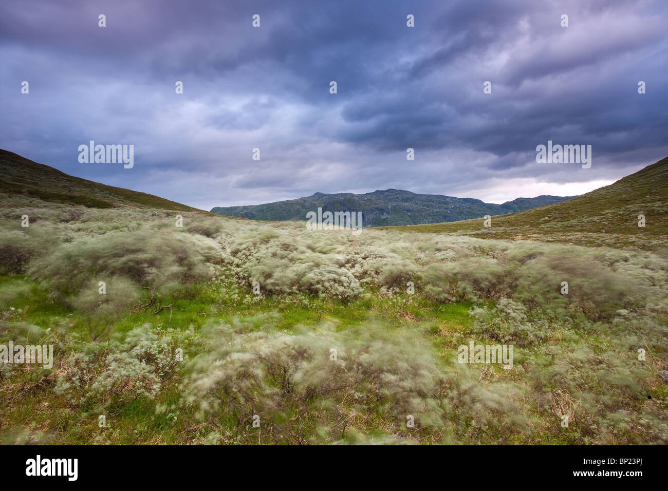 Dramatische Wolken und windigen Bedingungen in der Ringsdalen Tal, Jotunheimen, Norwegen. Stockfoto