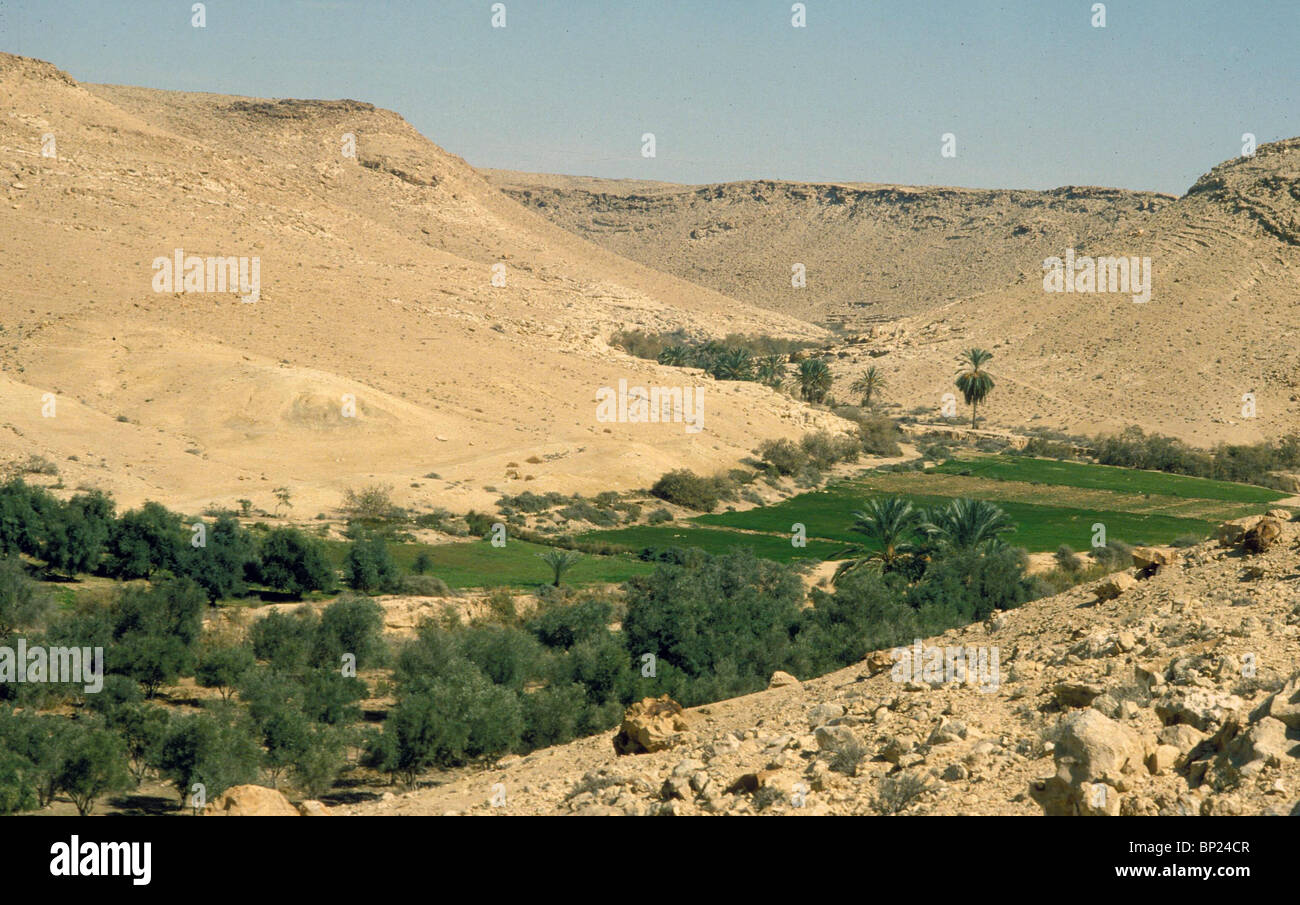 KADESCH-BARNEA-OASE IM ÖSTLICHEN SINAI DIE SÜDLICHE GRENZE DES CNAAN. DIE STÄMME ISRAELS LAGERTEN DORT VIELE TAGE UNTERWEGS. Stockfoto