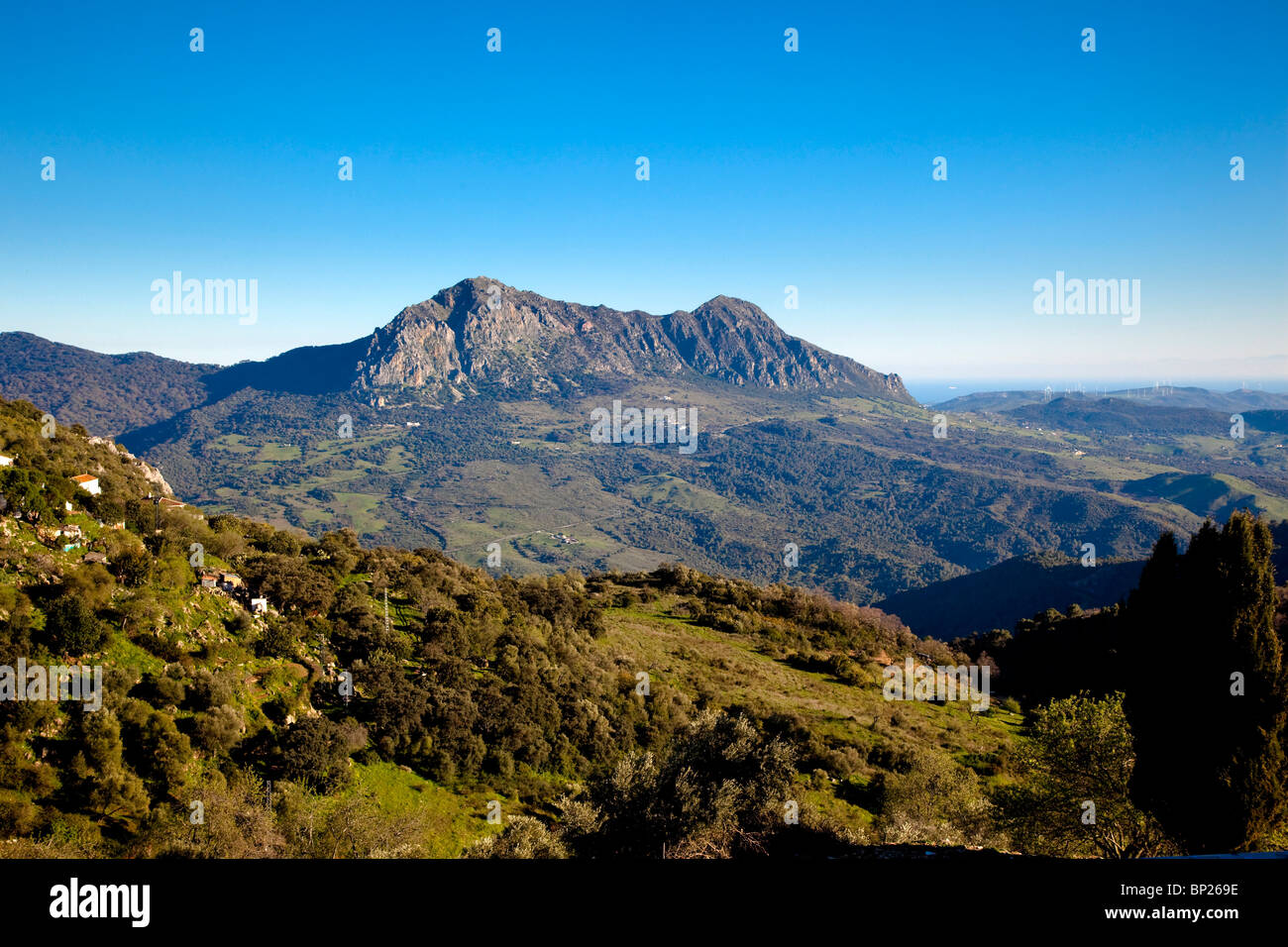 Serranía de Ronda, Andalusien, Malaga, Spanien Stockfoto