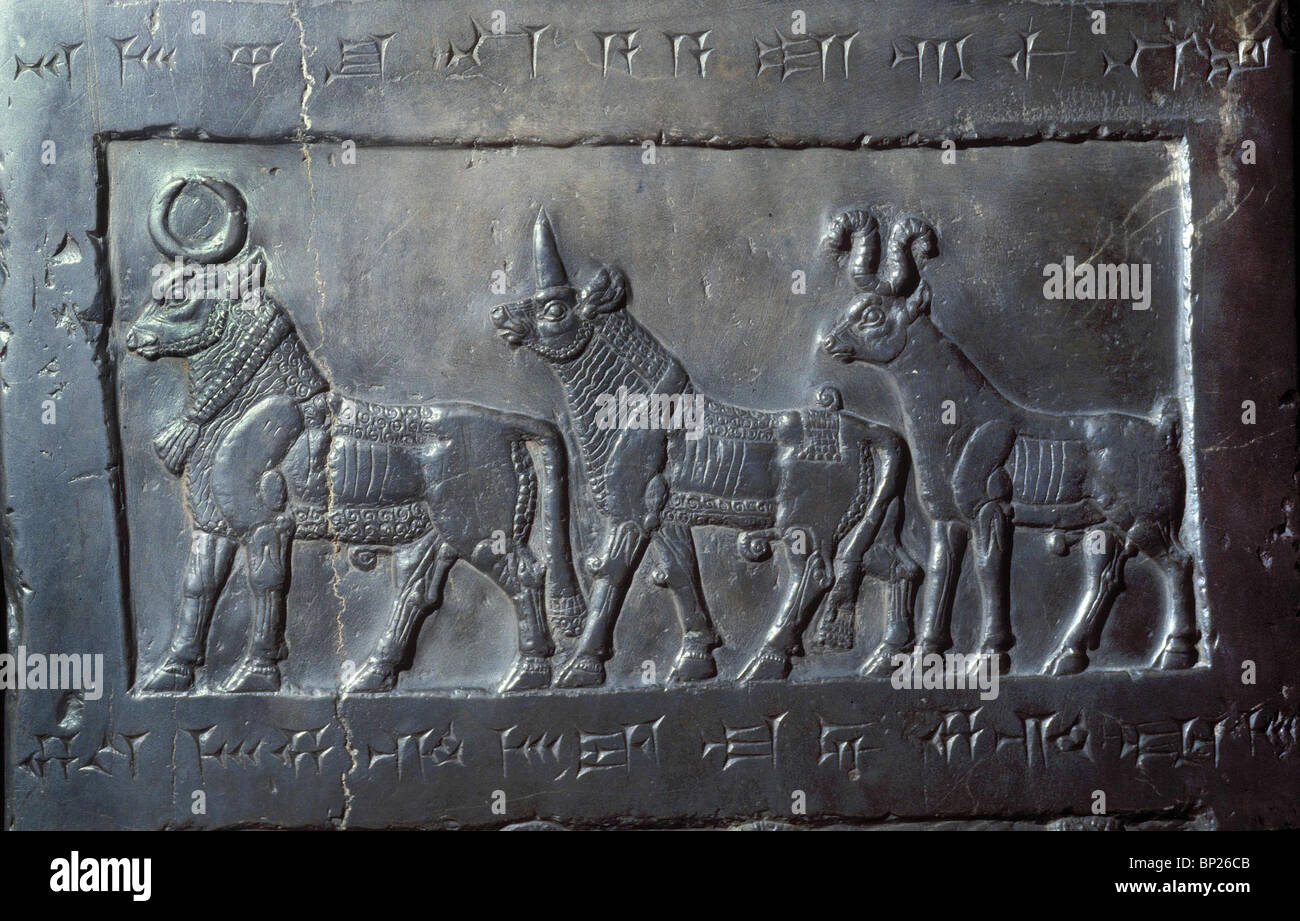 PANEL AUS DER SCHWARZE OBELISK DES KÖNIGS SALMANASSAR III. AUS NIMRUD CA. 825 V.CHR. DARSTELLUNG DES TRIBUT DES LANDES VON MUSRI ES Stockfoto