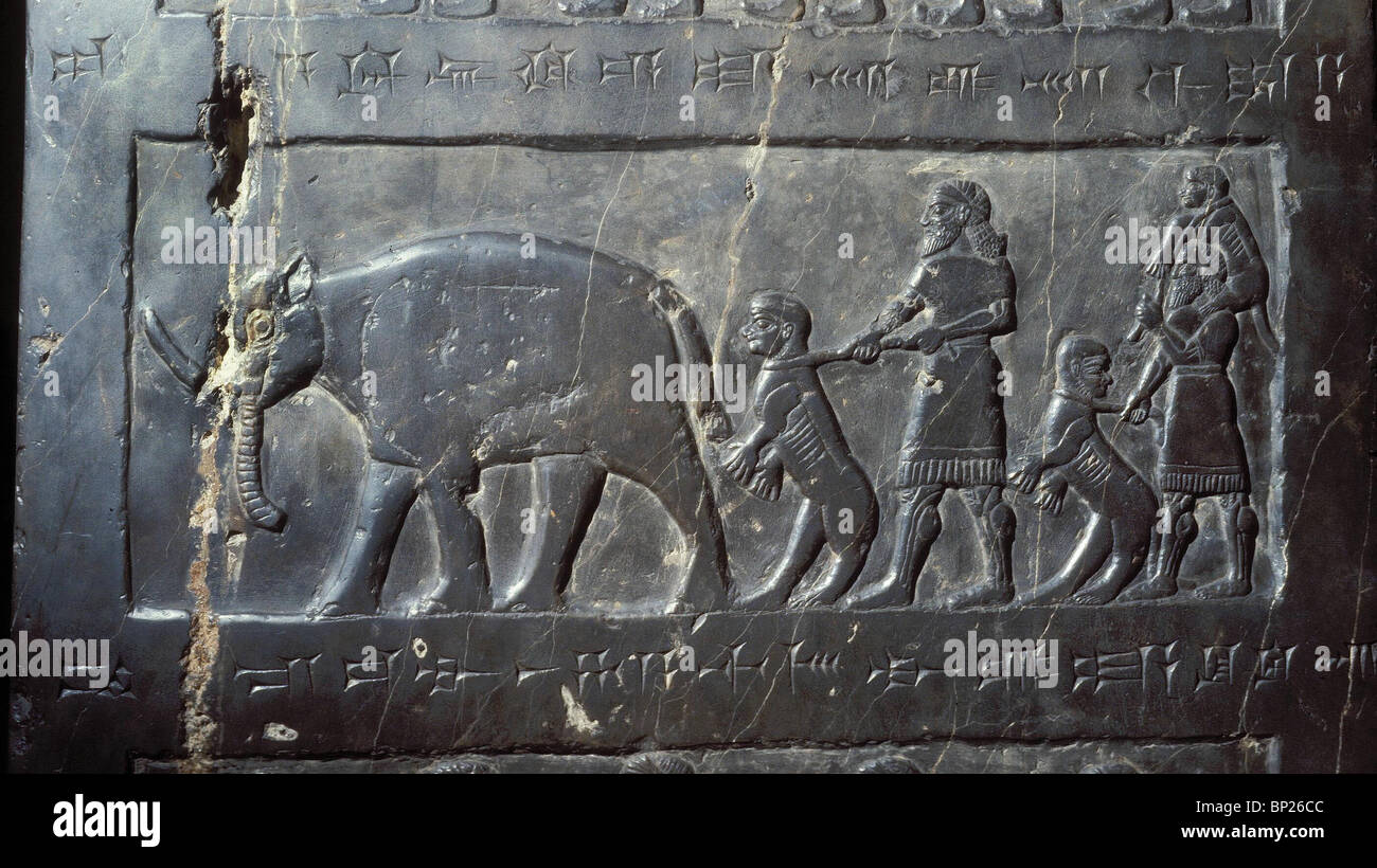 PANEL AUS DER SCHWARZE OBELISK DES KÖNIGS SALMANASSAR III. AUS NIMRUD CA. 825 V.CHR. DARSTELLUNG DES TRIBUT DES LANDES VON MUSRI ES Stockfoto