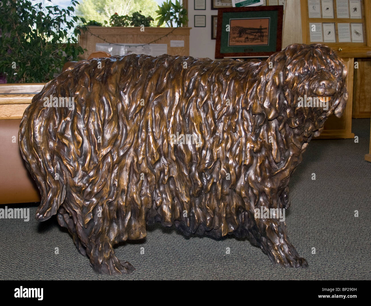 Berkeley Pit Montana Stockfotos Und Bilder Kaufen Alamy