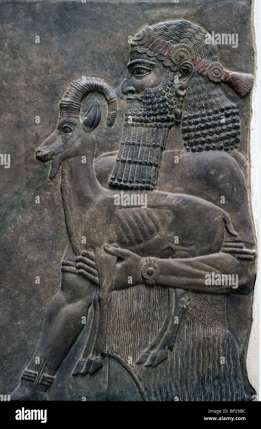2871. MANN MIT EINER ZIEGE, VIELLEICHT EIN ANGEBOT, ASSYRISCHEN PERIODE, RELIEF AUS DEM PALAST VON KÖNIG SARAGON II. 725 V. CHR. Stockfoto