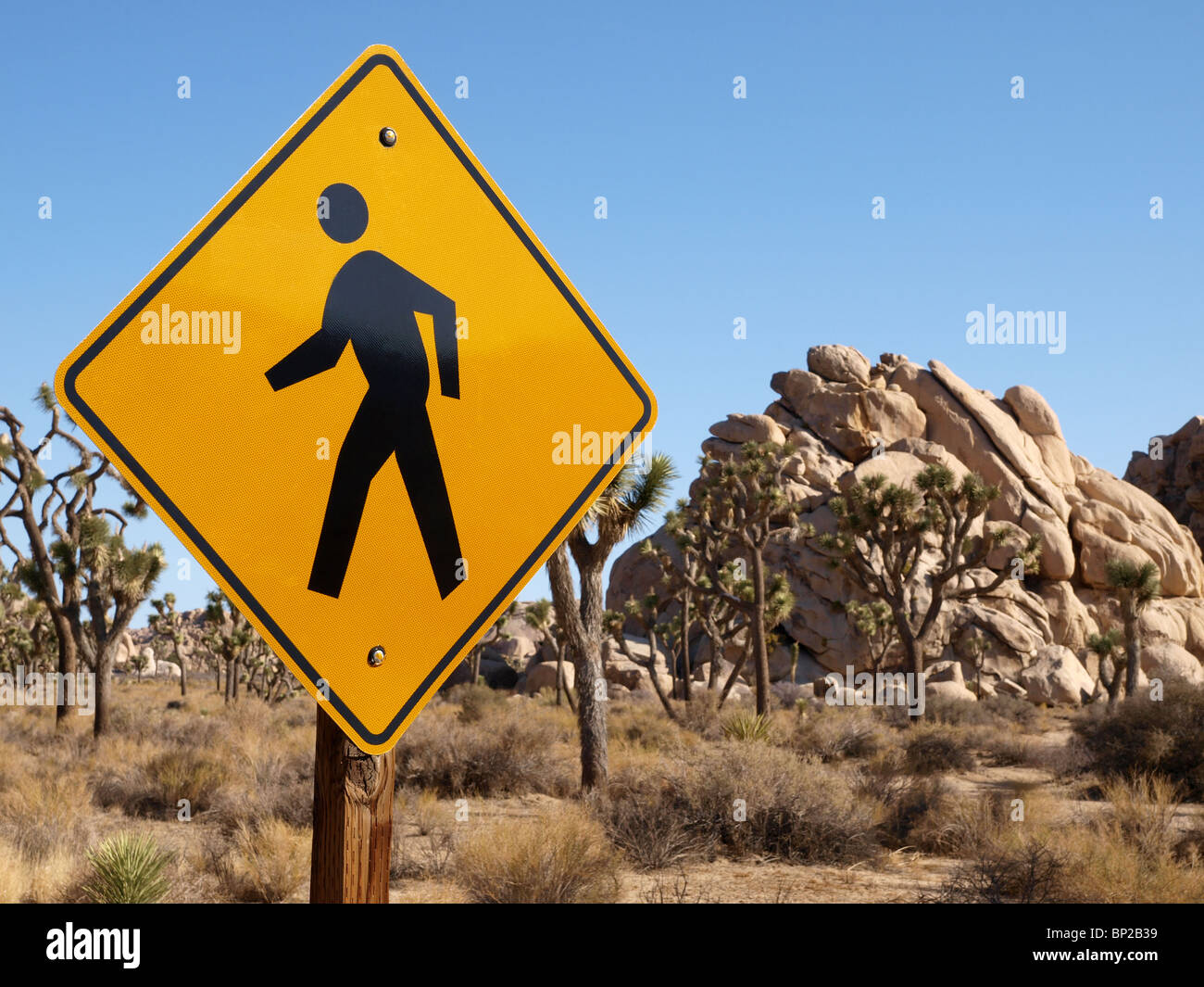 Fußgängerüberweg Zeichen in der Mitte Kaliforniens Joshua Tree National Park. Stockfoto