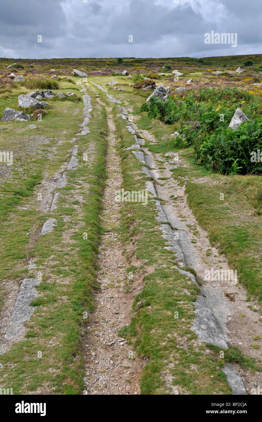 Stillgelegte Strecke, Haytor Granit-Straßenbahn, Dartmoor, England Stockfoto