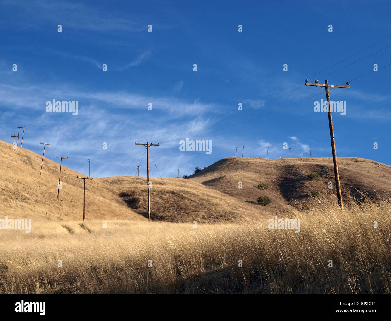 Ranch Grasland und Telefonmasten in Chatsworth, Kalifornien. Stockfoto