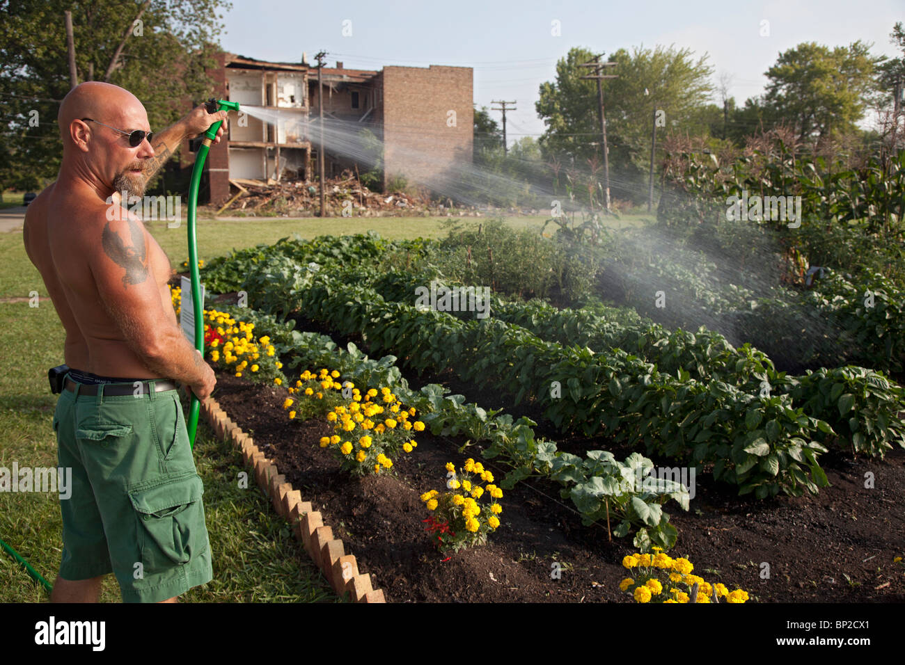 Halfway House Gefängnisinsassen bauen Gemüse für Suppenküchen Stockfoto