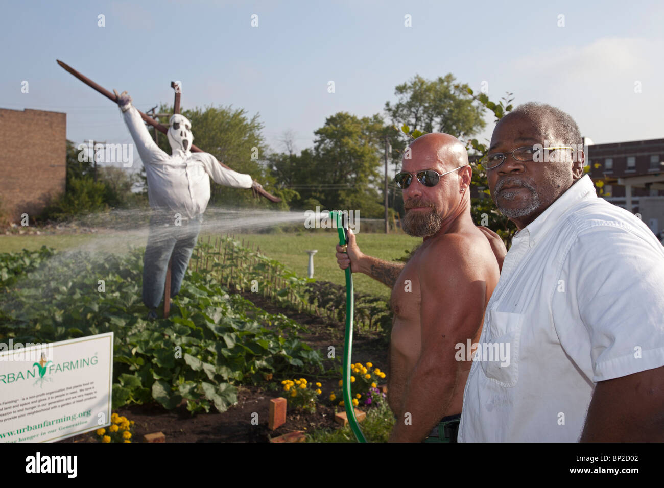 Halfway House Gefängnisinsassen bauen Gemüse für Suppenküchen Stockfoto