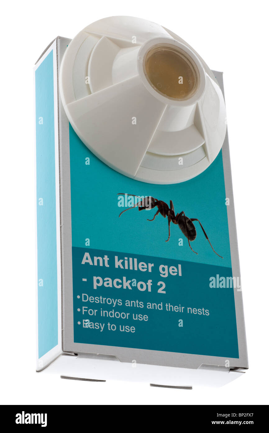 Kunststoff Ant killer Falle und box Stockfoto