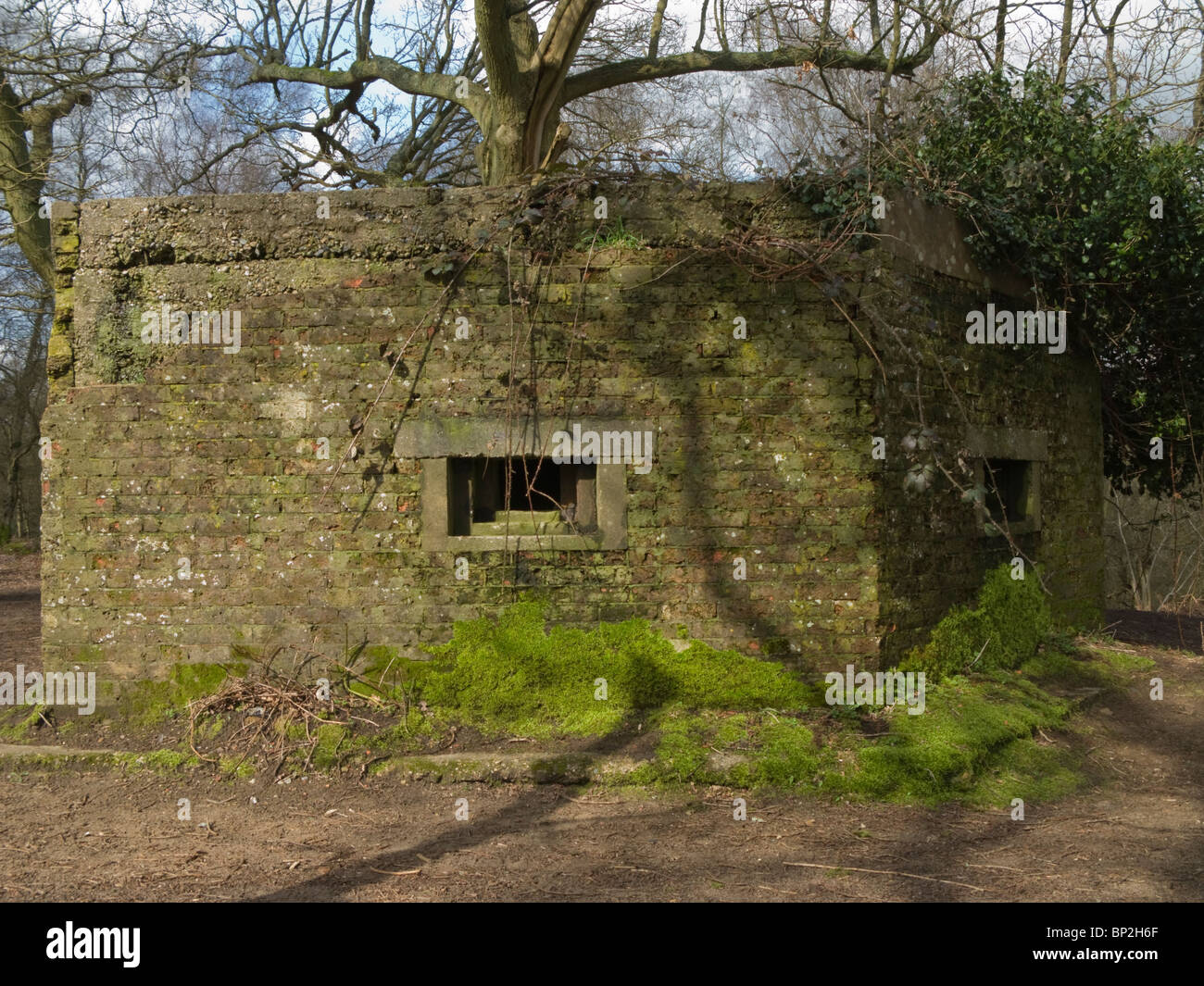 Bunker-Pill-Box des zweiten Weltkriegs Stockfoto