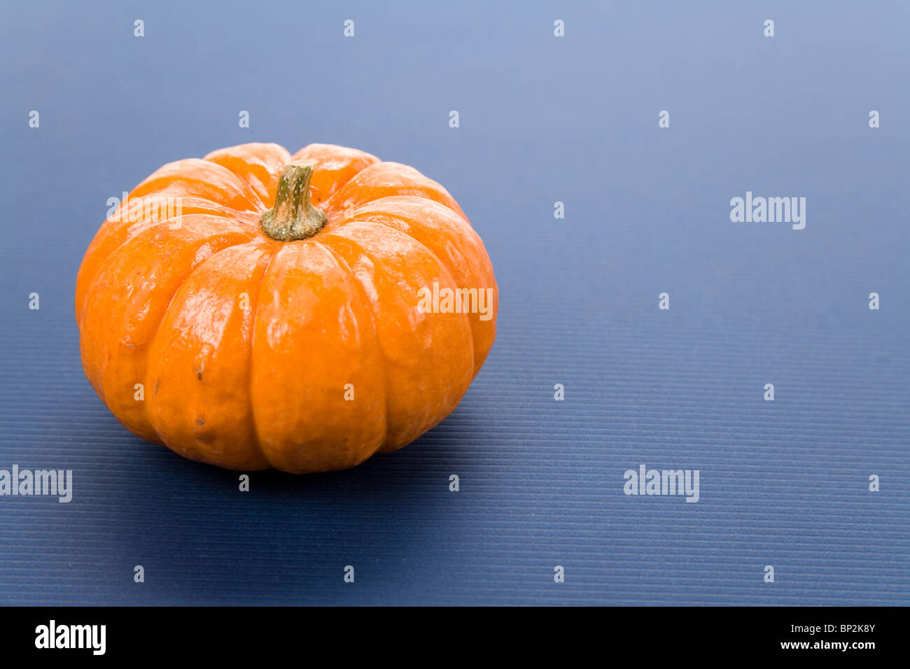 Orange Kürbis Nahaufnahme Schuss Stockfoto