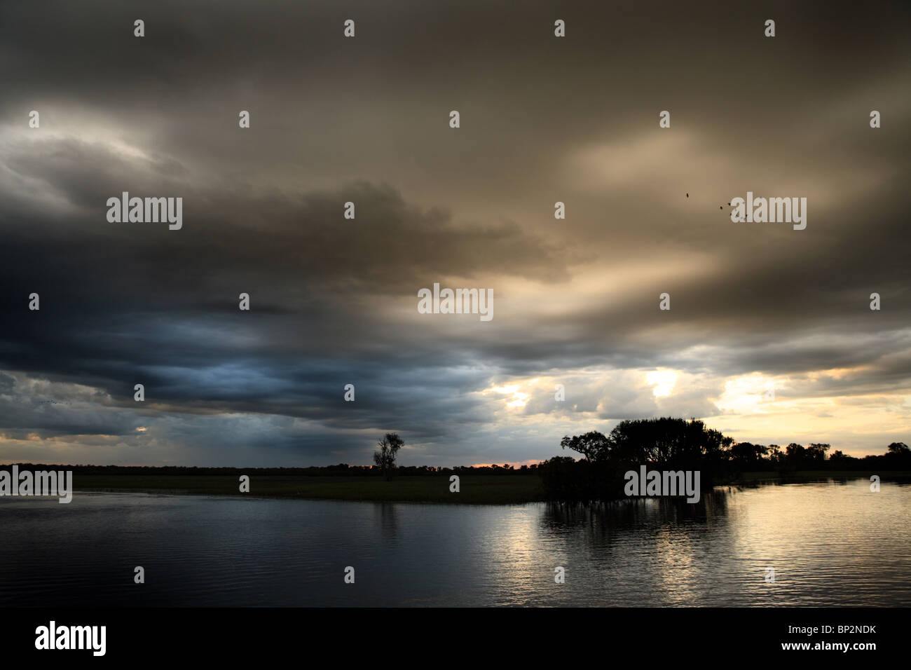 Yellow Water Billabong, Kakadu-Nationalpark, Northern Territory, Australien Stockfoto