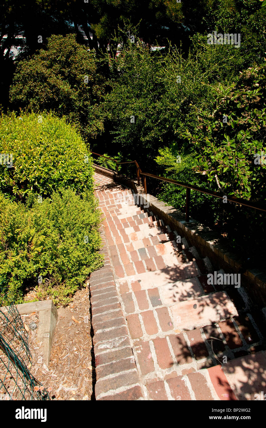 San Francisco: Greenwich Street Schritte in der Nähe von Coit Tower. Foto Copyright Lee Foster. Foto # casanf104279 Stockfoto