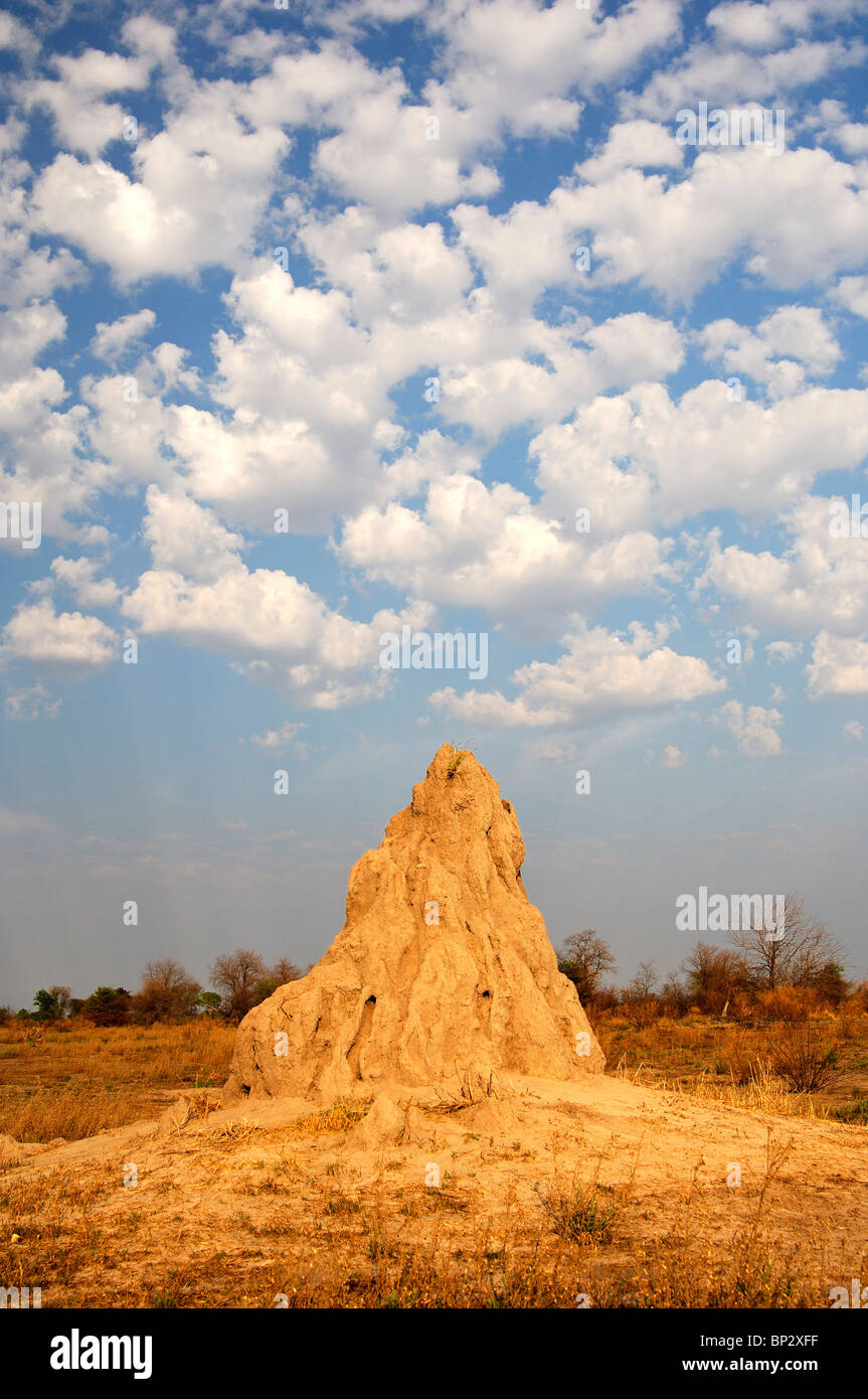 Termite Hügel unter Cumulus Wolken, Okavango Delta, Botswana Stockfoto