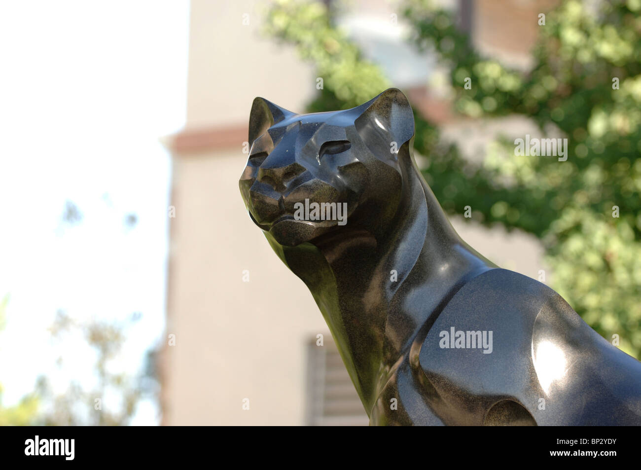 Chapman University Panther Statue Stockfoto