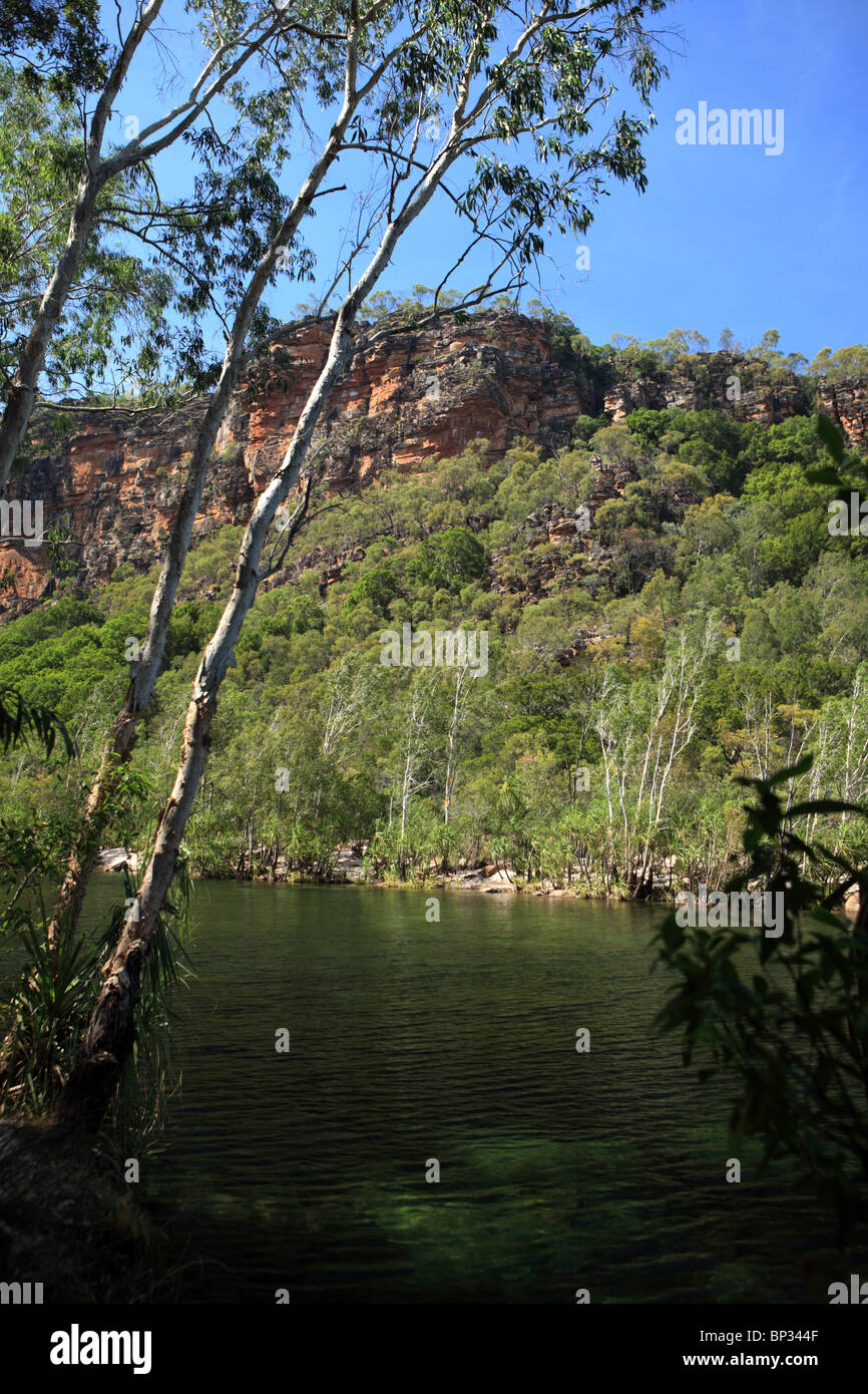 Jim Jim Gorge und Fluss, Kakadu-Nationalpark, Northern Territory, Australien Stockfoto