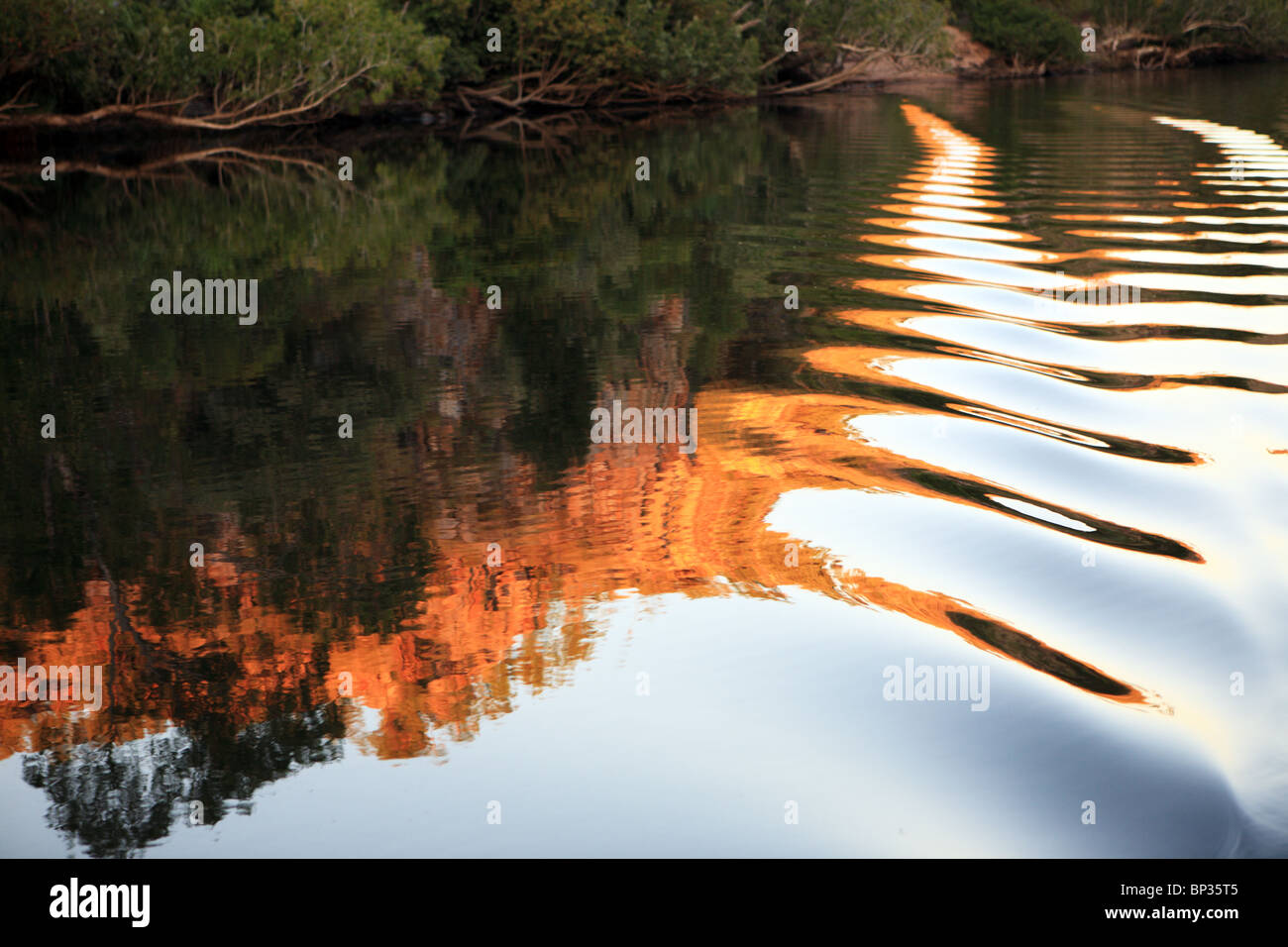 Am frühen Morgen Katherine Gorge, Katherine, Northern Territory, Australien Stockfoto