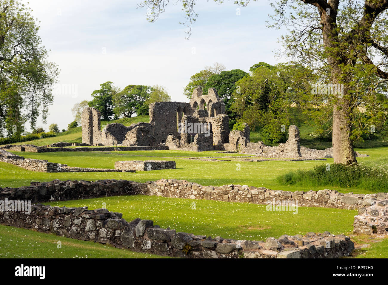 Zoll-Abtei in der Nähe von Downpatrick, County Down, Nordirland. Norman Zisterzienser-Abtei von John de Courcy 1180 gegründet Stockfoto