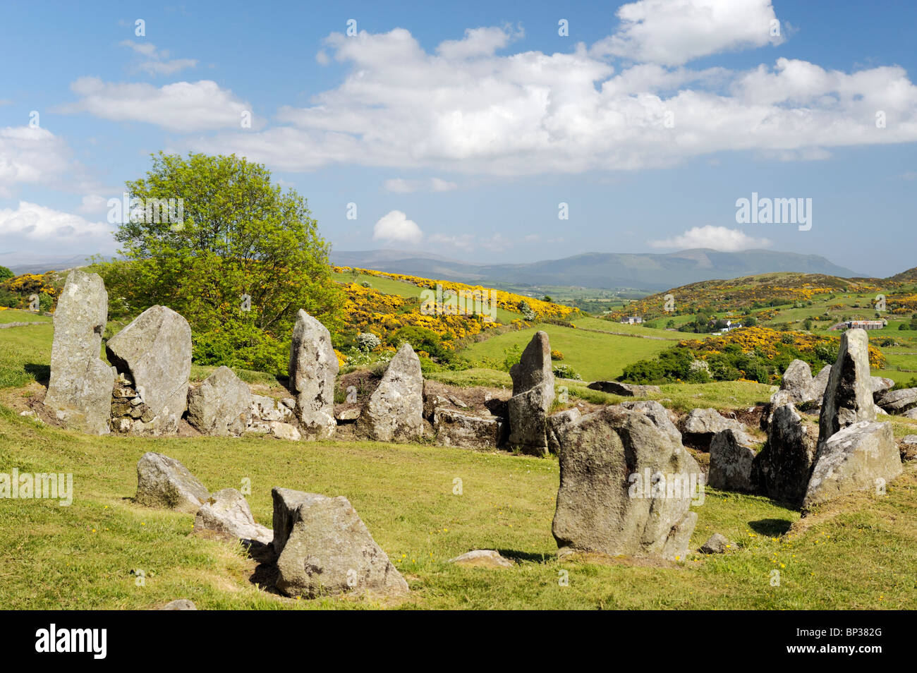 Ballymacdermot prähistorische neolithischen gekammerten Gericht Cairn Grabstätte in der Nähe von Newry, County Armagh, Nordirland, Vereinigtes Königreich Stockfoto