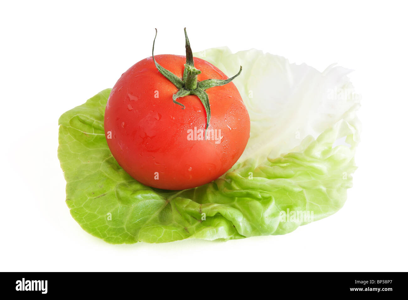 eine Tomatenpflanze auf einem grünen Salatblatt isoliert auf weißem Hintergrund mit Beschneidungspfad Stockfoto