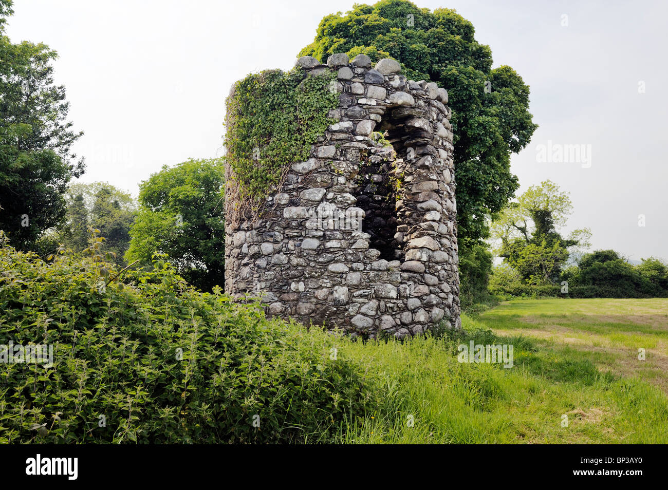 Zerstörten mittelalterlichen keltischen christlichen Rundturm in Maghera alte Kirche St. Donairt. Castlewellan, County Down, Nordirland Stockfoto