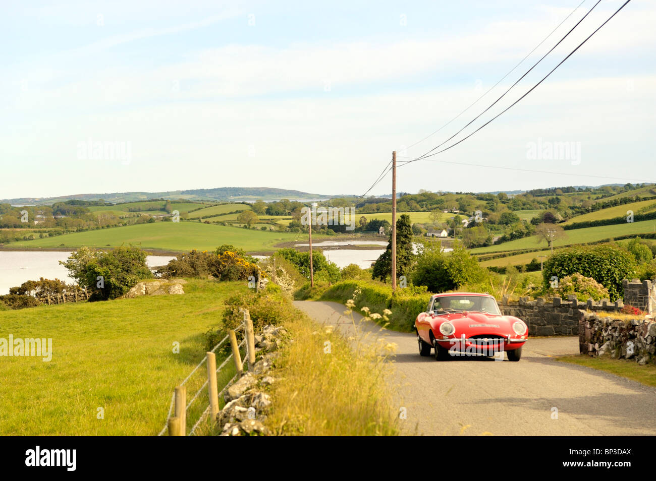 Strangford Lough bei Killinchy, Co. Down, Nordirland. E-Type Jaguar Automobil fahren auf der Landstraße. Stockfoto