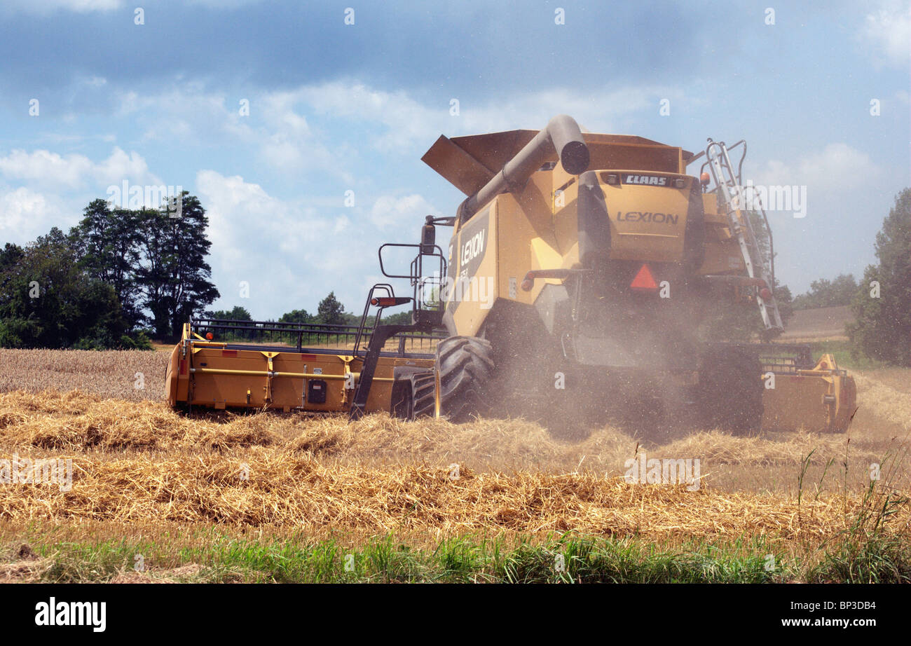 Bauer mäht Heu mit Mähdrescher im Feld. Stockfoto