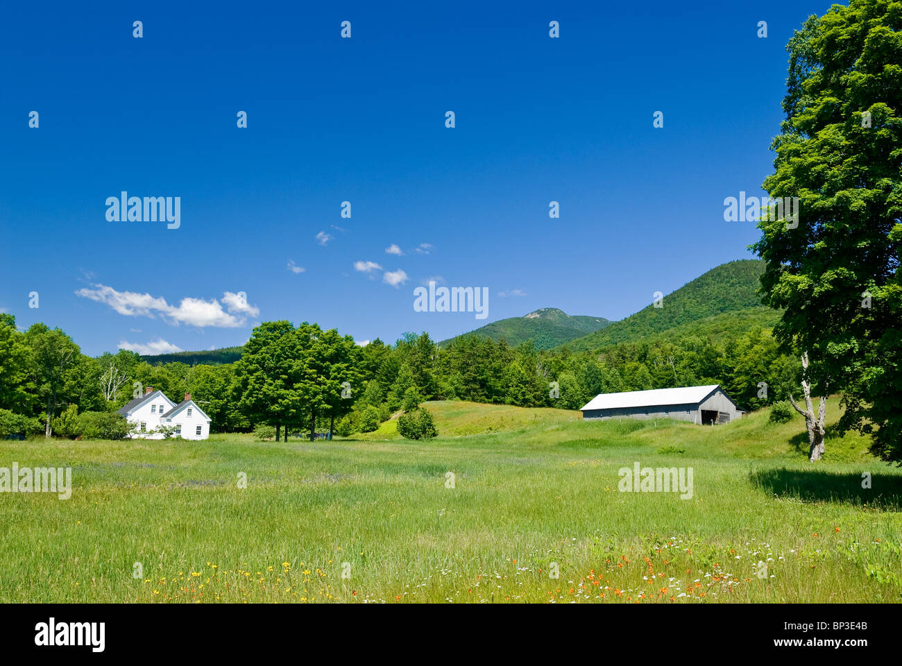 Ländlichen Landschaft mit grünen Wiese, New Hampshire, USA. Stockfoto