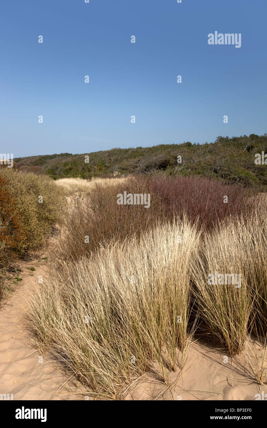 Sefton Küste Stockfoto