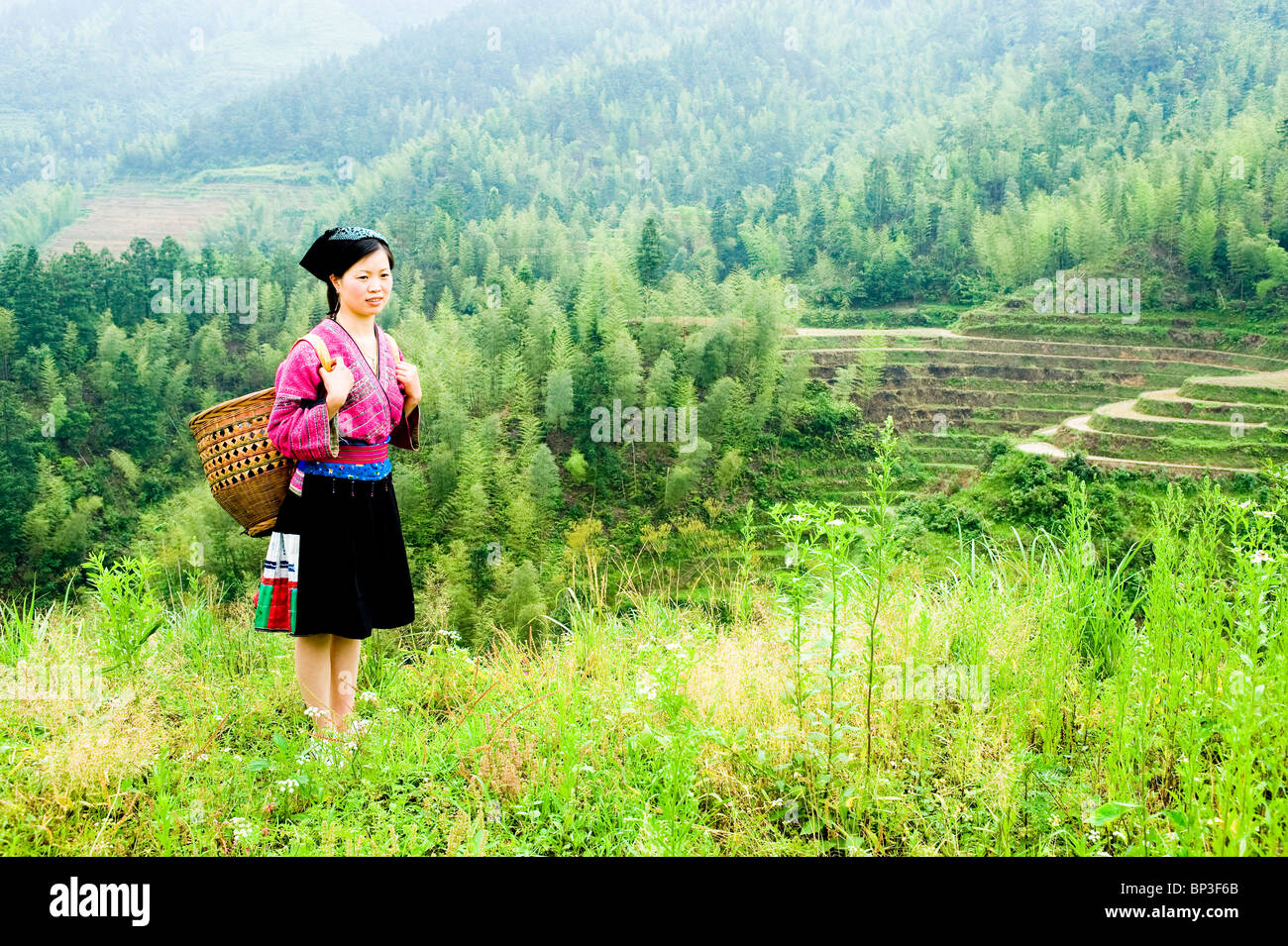 Junge Yao Frau Korb, Dragon es Rückgrat Reis-Terrassen in der Nähe von Yao Dorf Dazhai, Provinz Guangxi China, Herr Stockfoto