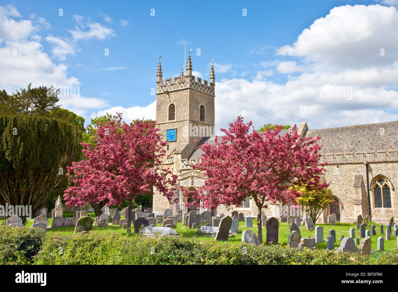 St. Leonards Kirche am Horringer im Frühjahr, Suffolk Stockfoto