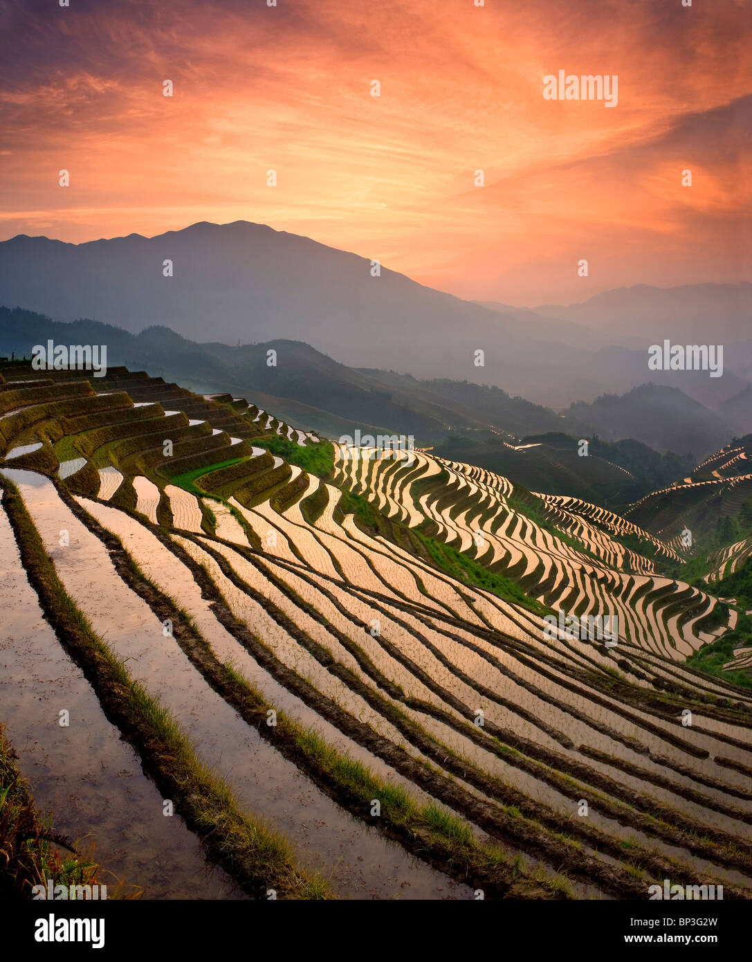 Drachen-Backbone-Reis-Terrassen in der Nähe von Yao Dorf Dazhai, Provinz Guangxi, China Stockfoto
