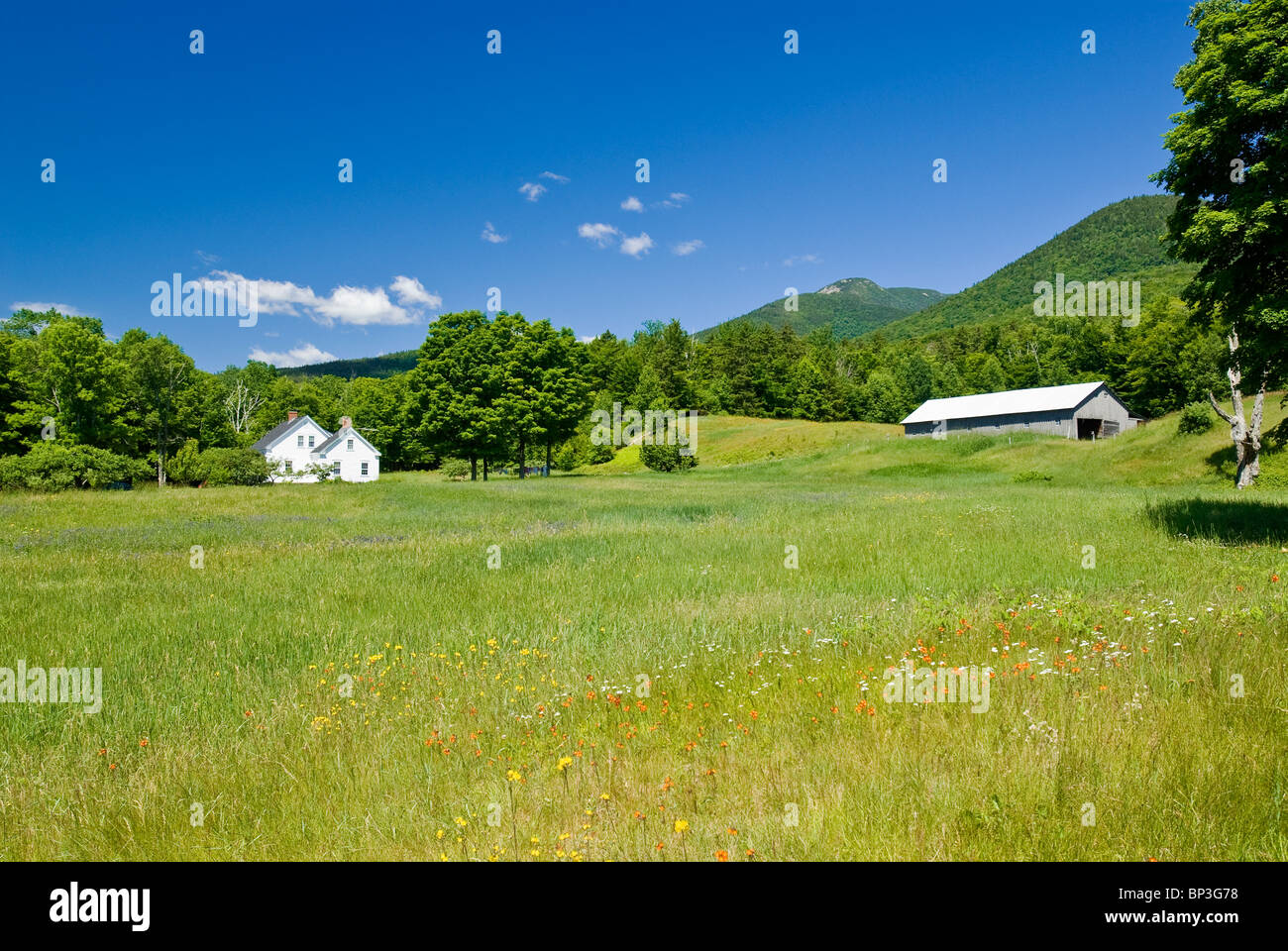 Ländlichen Landschaft mit grünen Wiese, New Hampshire, USA. Stockfoto