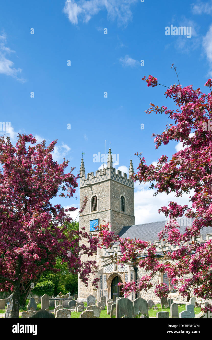 St. Leonards Kirche am Horringer im Frühjahr, Suffolk Stockfoto
