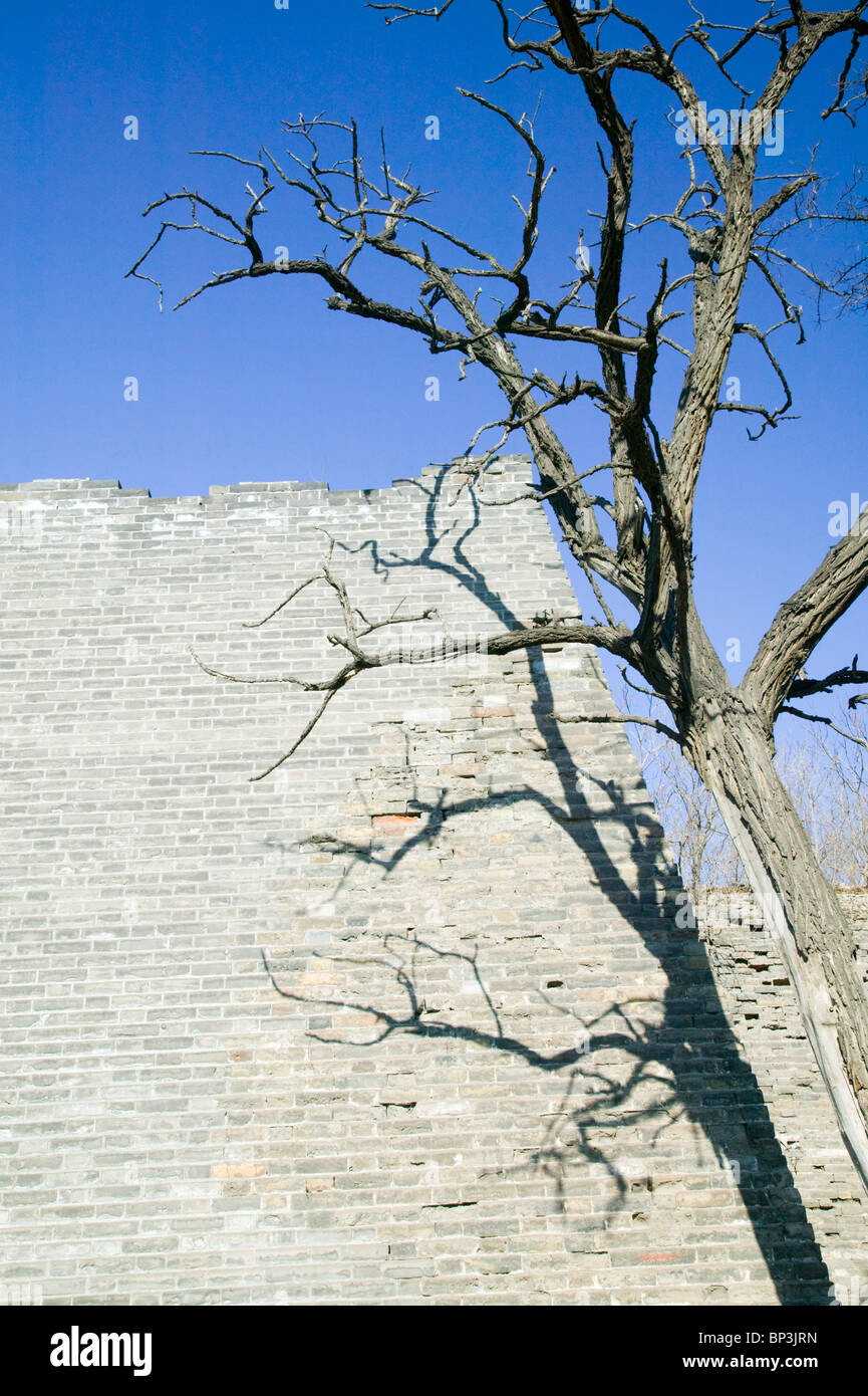 China, Peking, Chongwen District. Reste der Ming-Dynastie Stadt Ruinen Mauerpark. Stockfoto