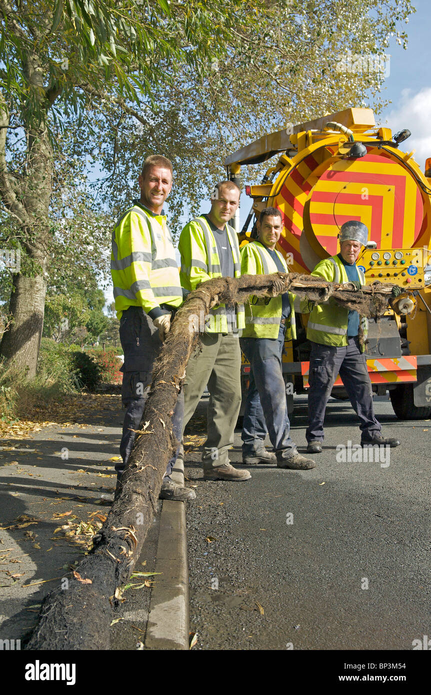 Rat Genossenschaften übersichtliche große Willow Tree root aus leeren Drohung von der überschwemmung zu verhindern Stockfoto