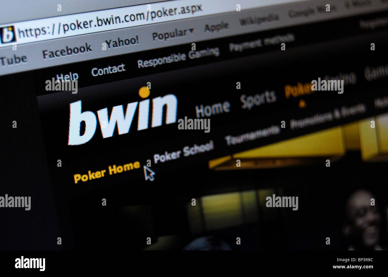 AP Photoillustration der Bwin Interactive Entertainment AG website Stockfoto