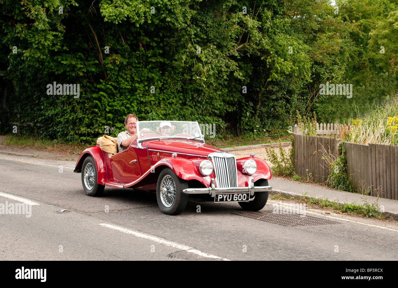 Rot offene MG TF Sportwagen auf einer Landstraße in Berkshire England im Sommer Stockfoto