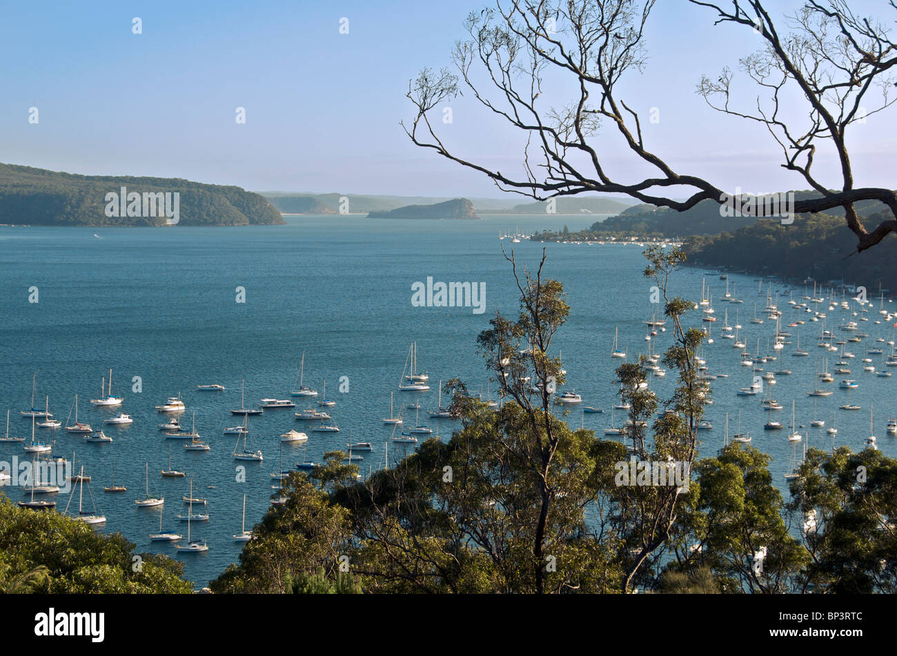 Pittwater Blick auf Clareville und Lion Insel Strände Sydney NSW Nordaustralien Stockfoto