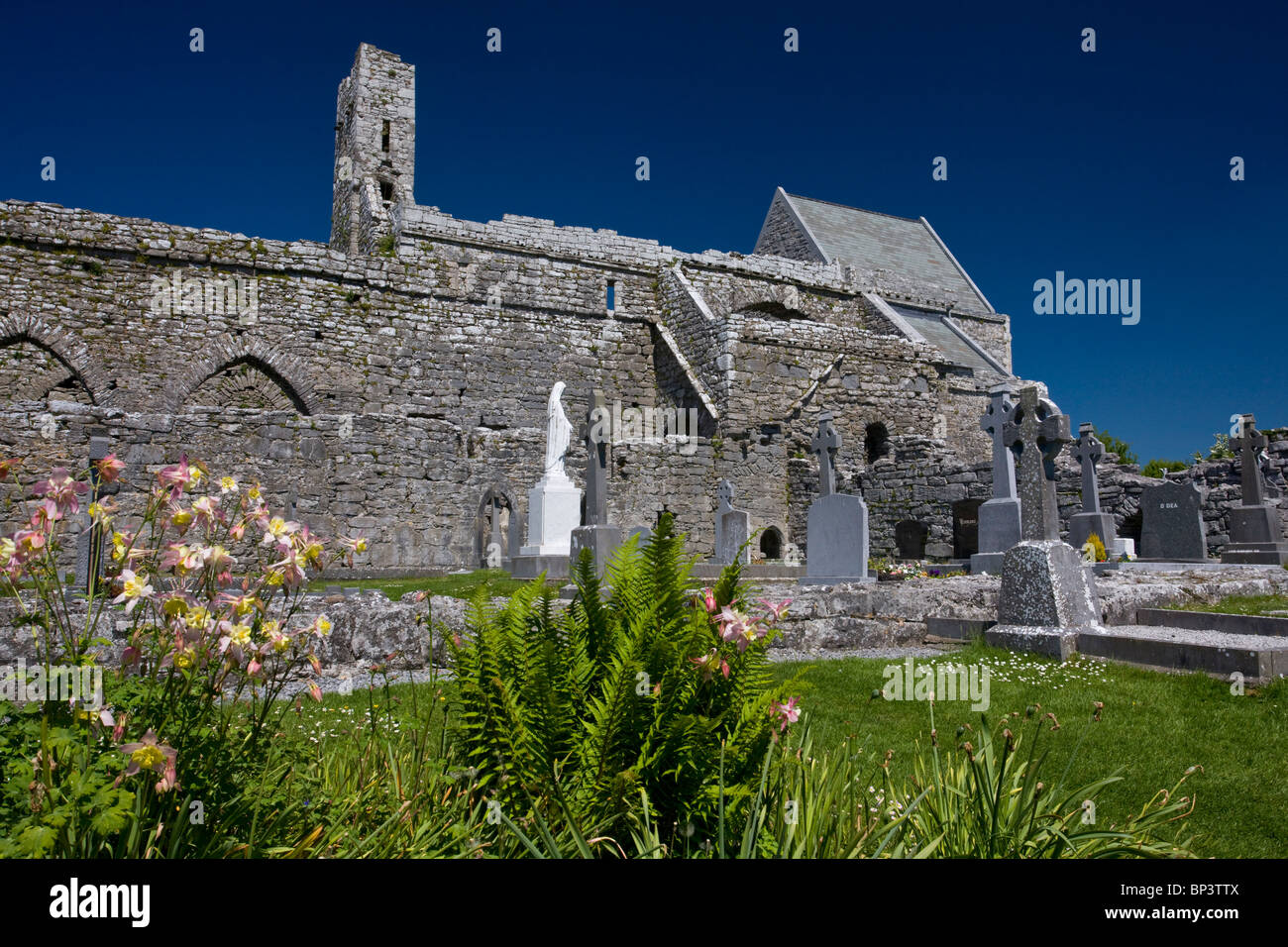 Corcomroe Abbey (Mainistir Chorco Modhruadh) und Garten, einem frühen 13. Jahrhundert Zisterzienser Kloster Eire Stockfoto