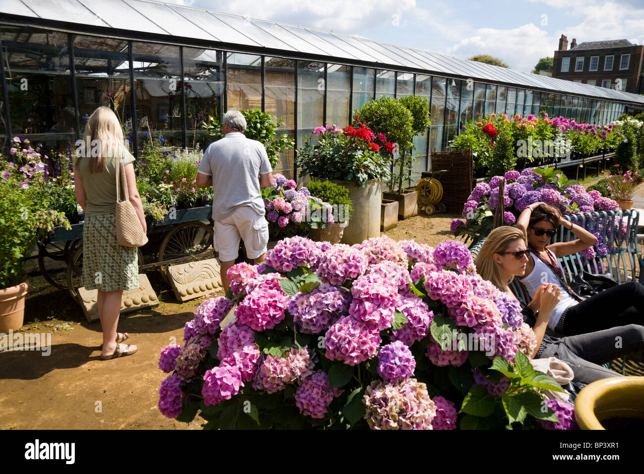 Kunden, die Pflanzen in Petersham Nurseries, Petersham Inspektion. Richmond Upon Thames. UK Stockfoto