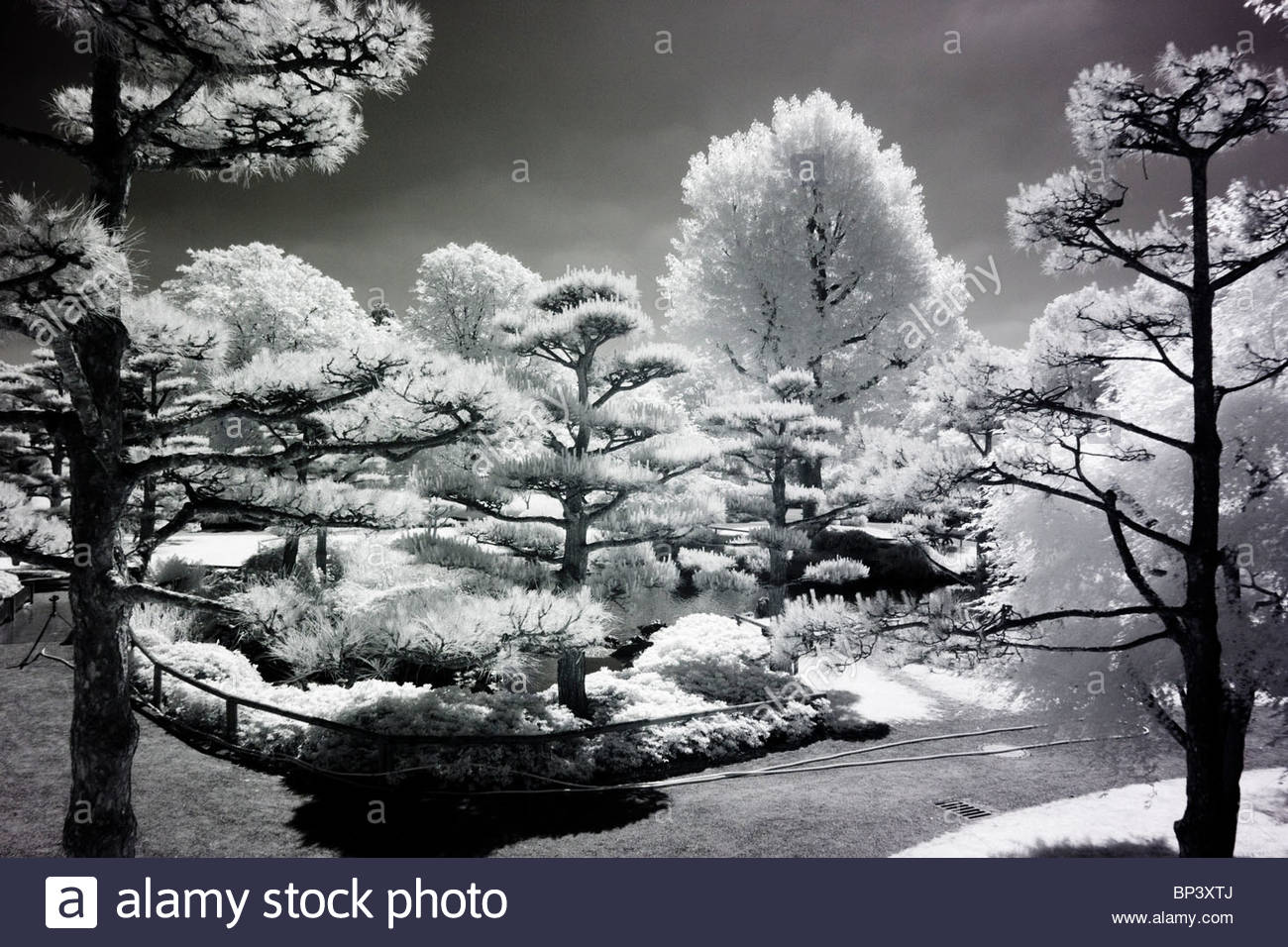 Japanischer Garten Dusseldorf Stockfoto Bild 30819730 Alamy