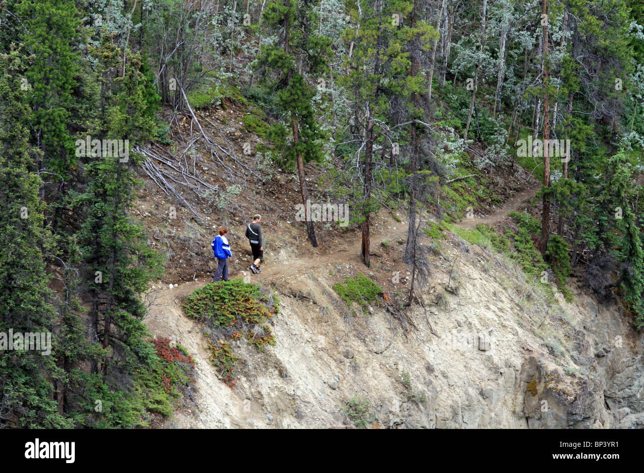 Wandern entlang der steilen Bergpfad in der Nähe von Whitehorse Kanada paar. Pinienwald entlang Flusstal. Stockfoto